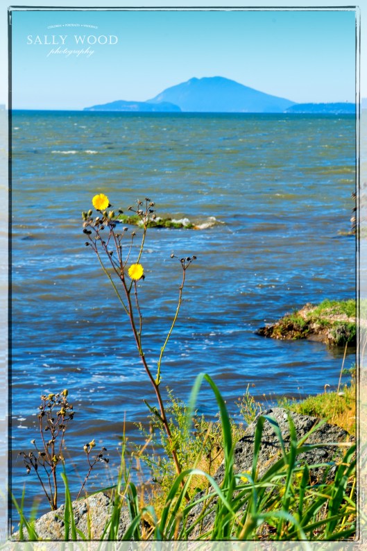 DSC_7836-Edit-Edit-Edit