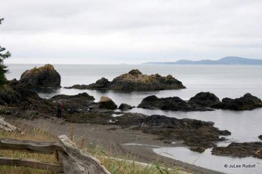 Urchin Rocks at Rosario Beach